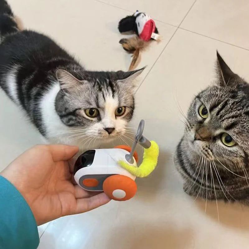 Smart Cat Toy Brinquedo para gatos Interativo com Controle Remoto